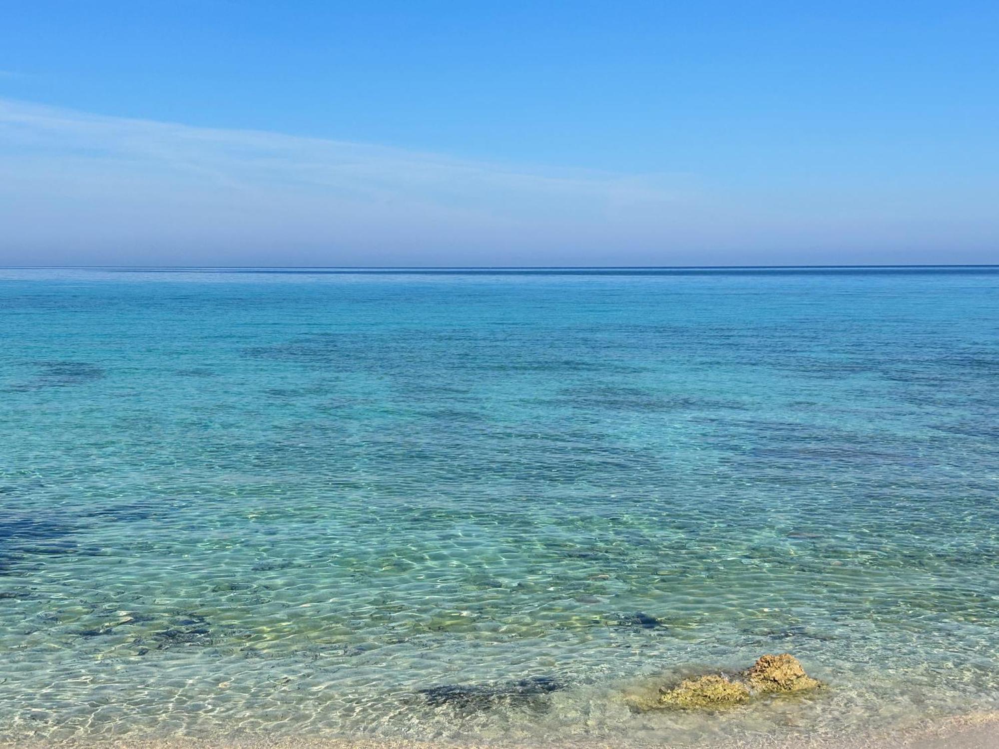 L'Oasi Una Pineta Sul Mare Custonaci Exterior photo